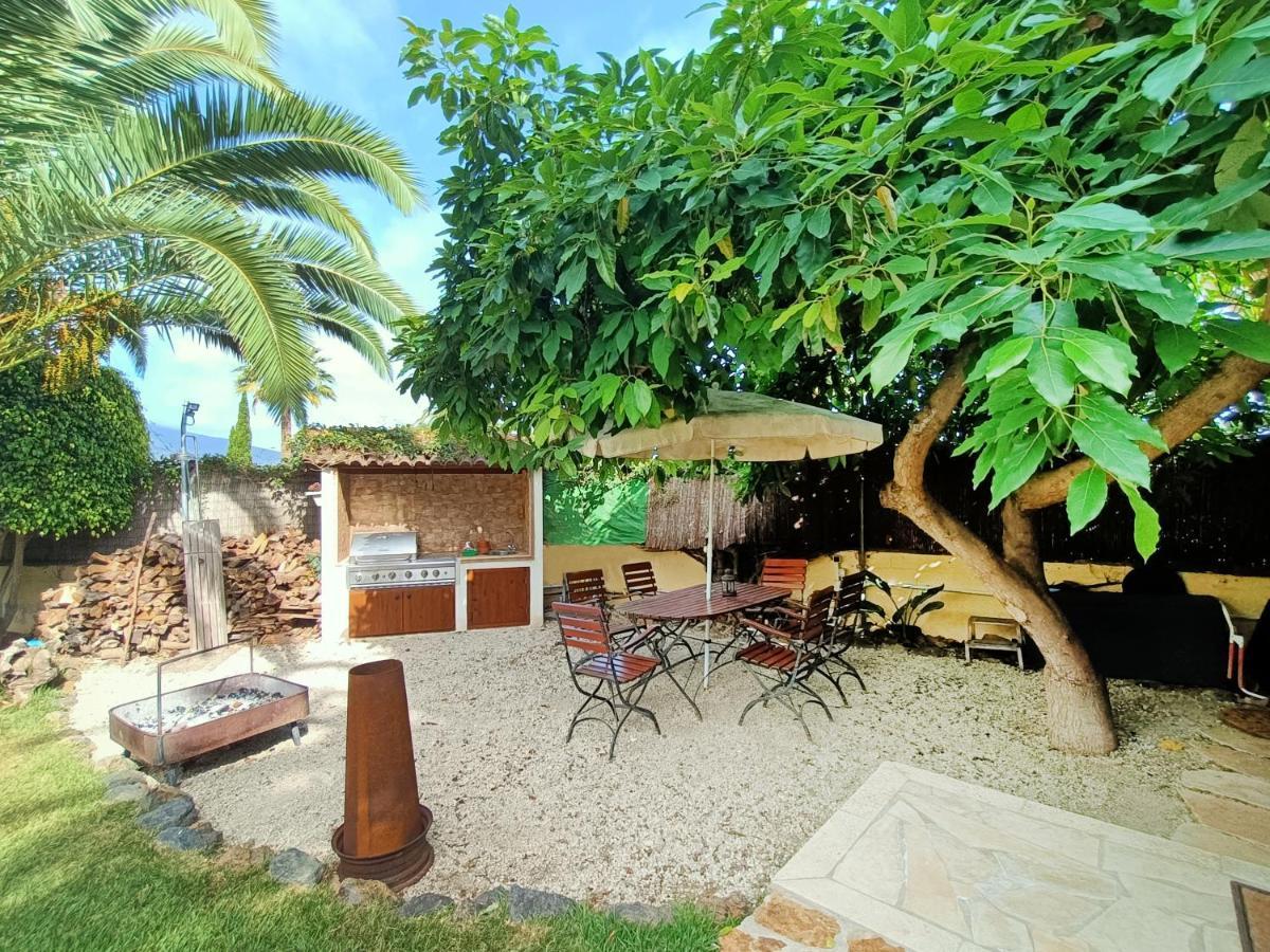 Apartamento Grüne Oase La Orotava Exterior foto