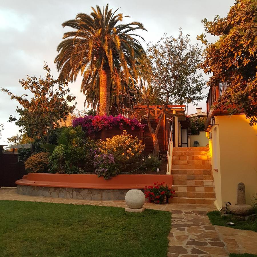 Apartamento Grüne Oase La Orotava Exterior foto